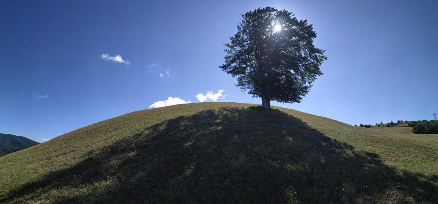 La Vecchia Stalla Castiglione dei Pepoli Bagian luar foto